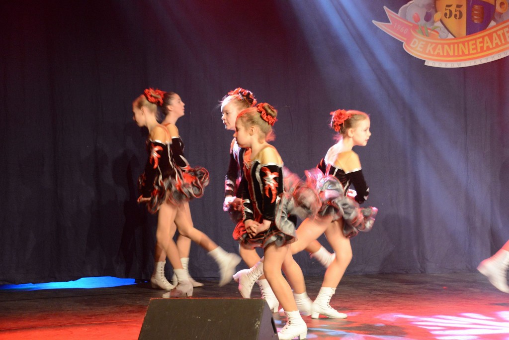 ../Images/Dansmarieke festival 2015 136.jpg